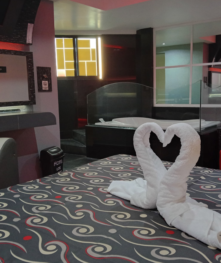 Habitación con jacuzzi y cama King Size en Ciudad de México
