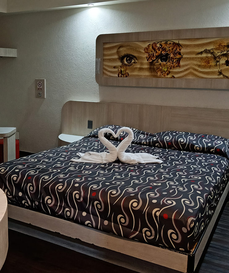 Suite confortable con cama King Size en CDMX